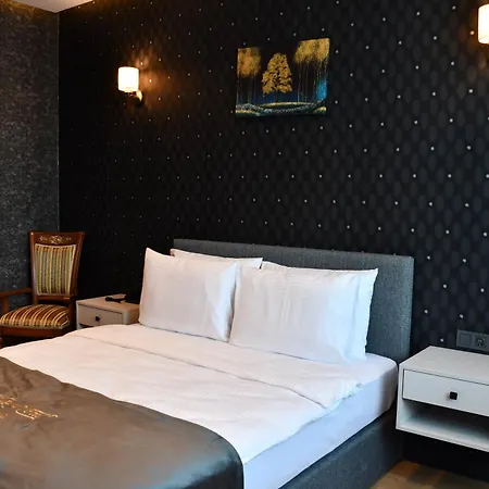 Hotel Hmz Luxury